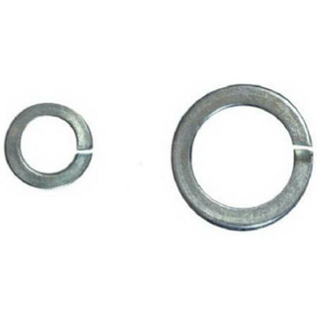 HILLMAN 300021 0.31 In. Lock Washer, 100PK 248054